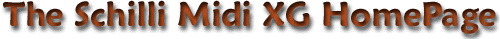 HomePage Title